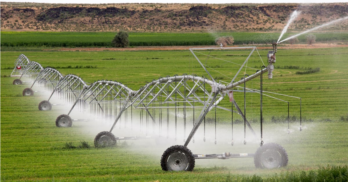 Centre-pivot irrigation watering green agricultural fields in Zimbabwe